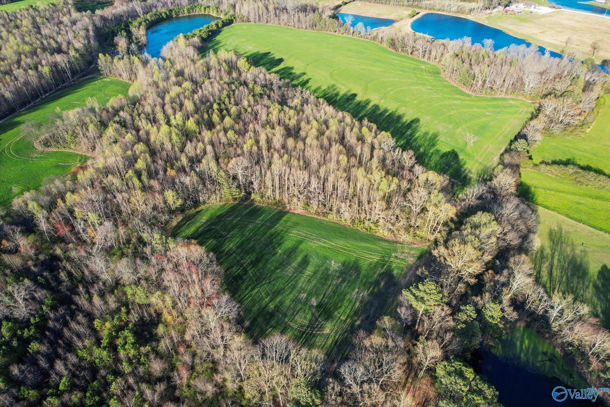 30 Acres County Road 1908, Albertville, Alabama image 7