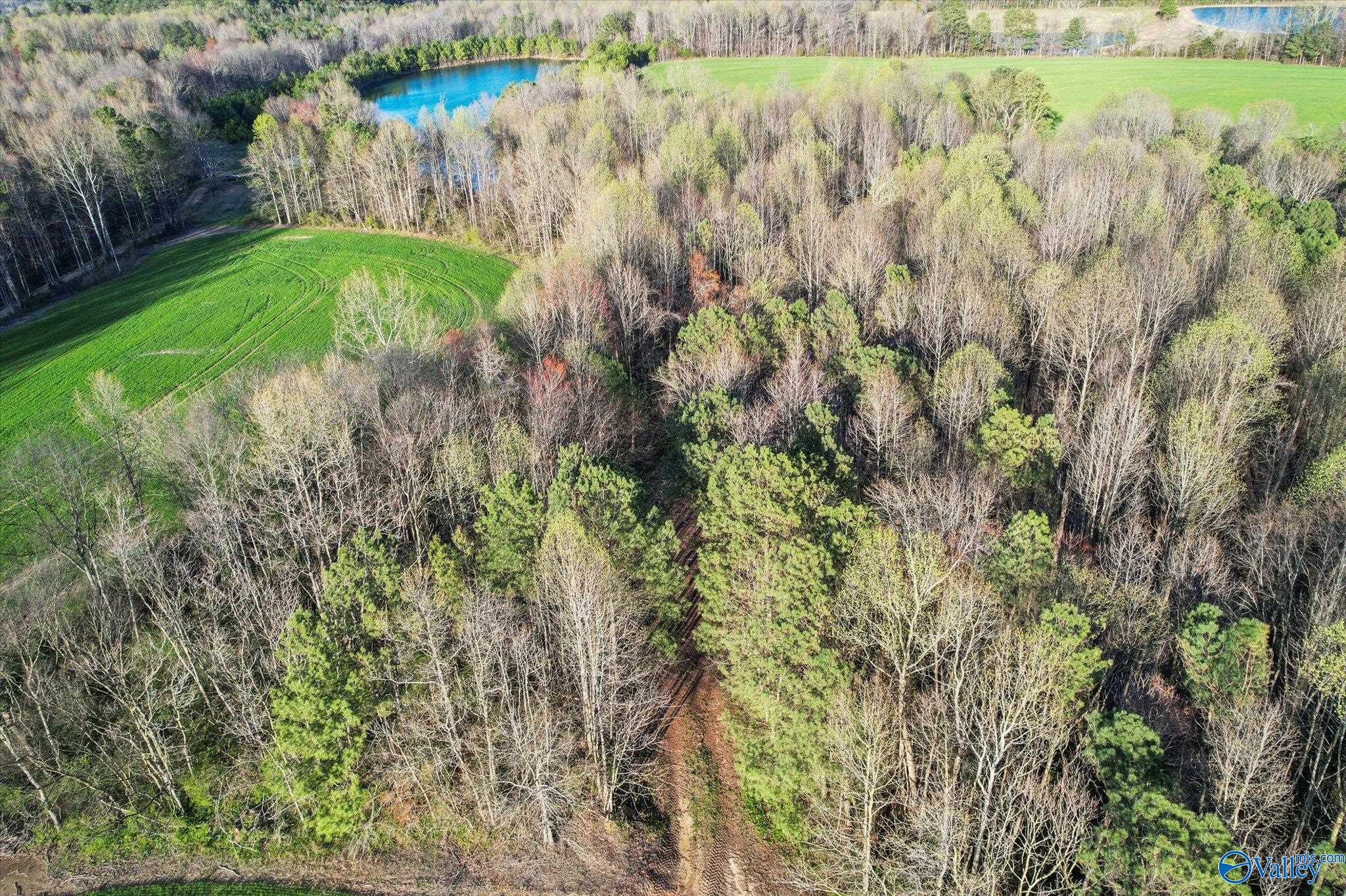 30 Acres County Road 1908, Albertville, Alabama image 16