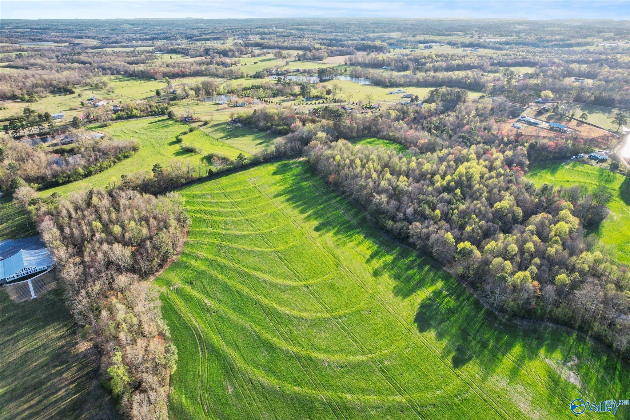 30 Acres County Road 1908, Albertville, Alabama image 9