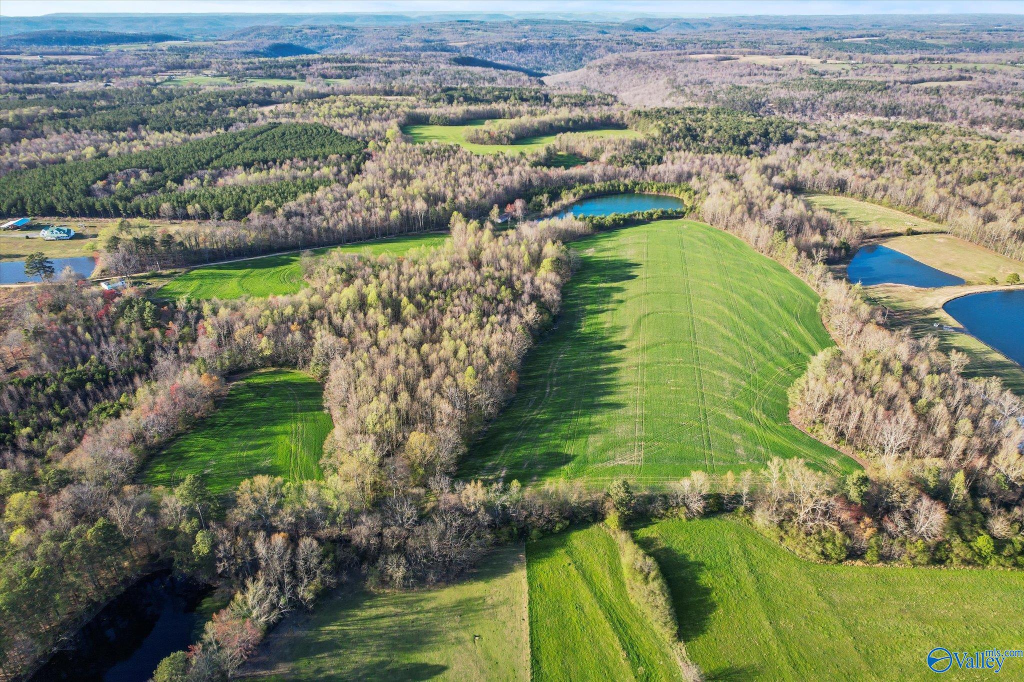 30 Acres County Road 1908, Albertville, Alabama image 5