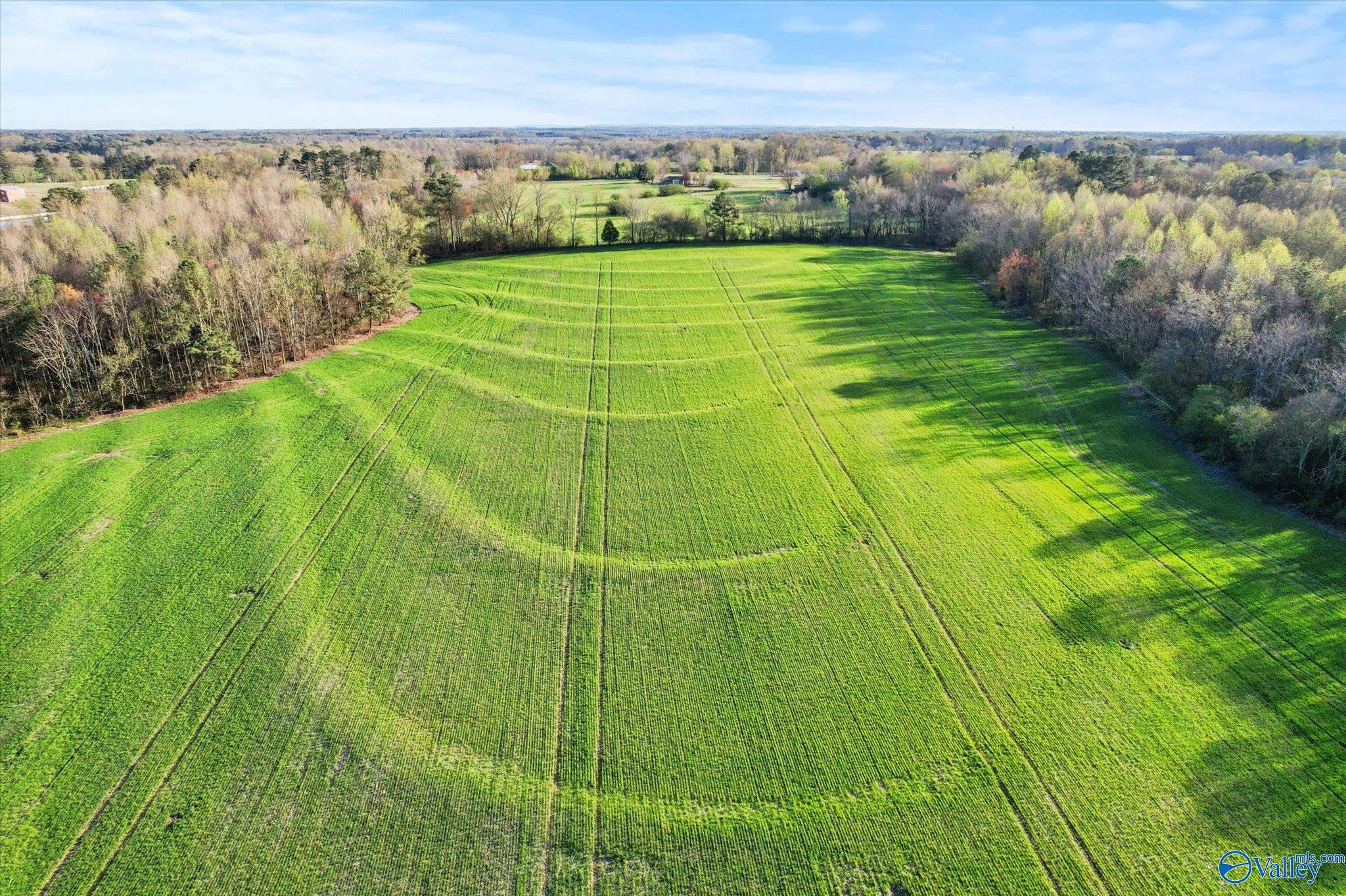 30 Acres County Road 1908, Albertville, Alabama image 1