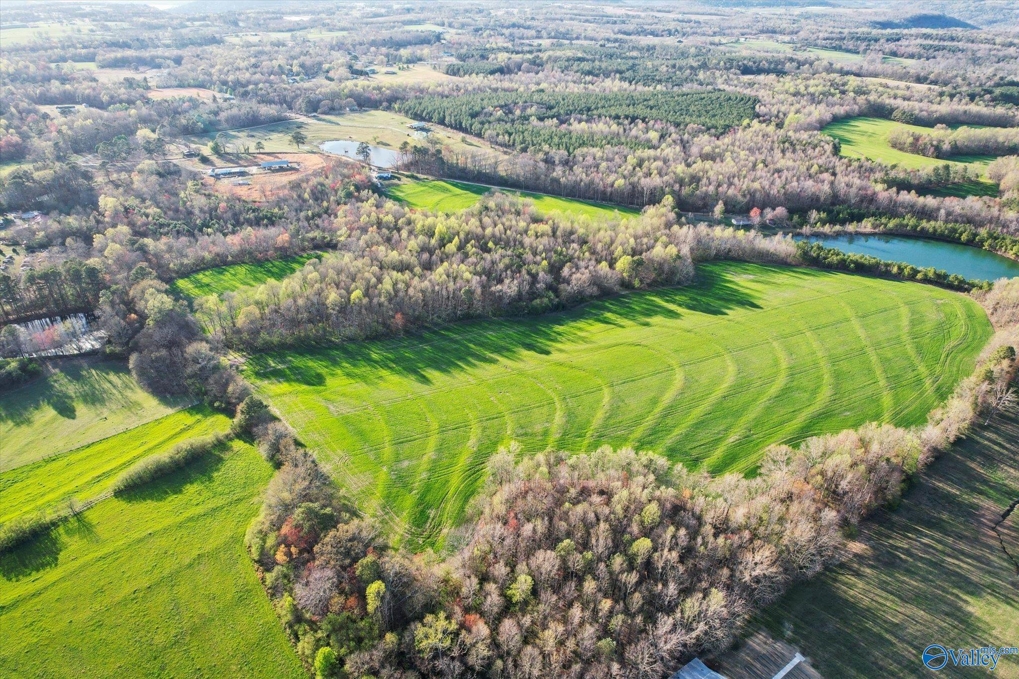 30 Acres County Road 1908, Albertville, Alabama image 4