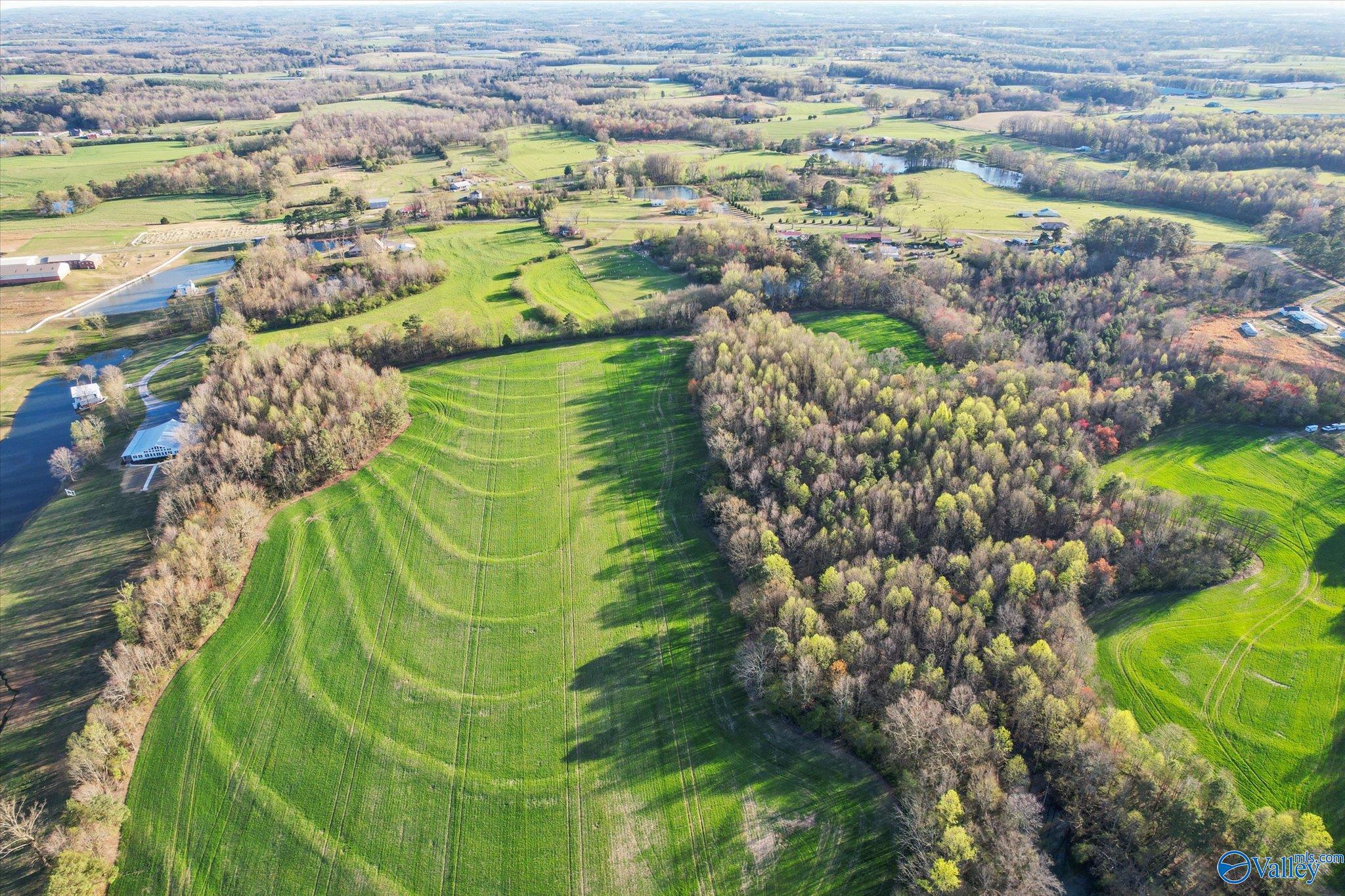 30 Acres County Road 1908, Albertville, Alabama image 11