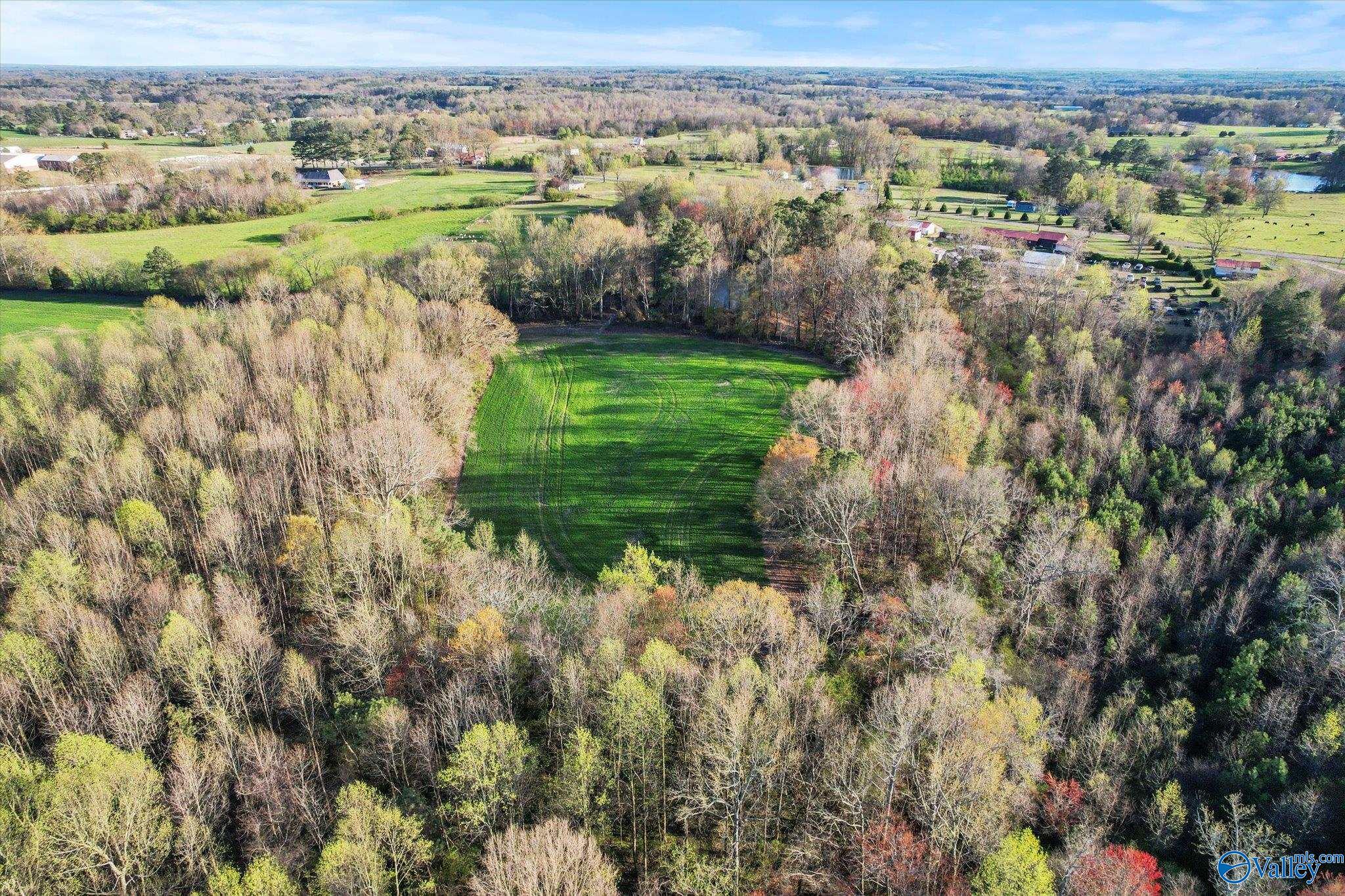 30 Acres County Road 1908, Albertville, Alabama image 13