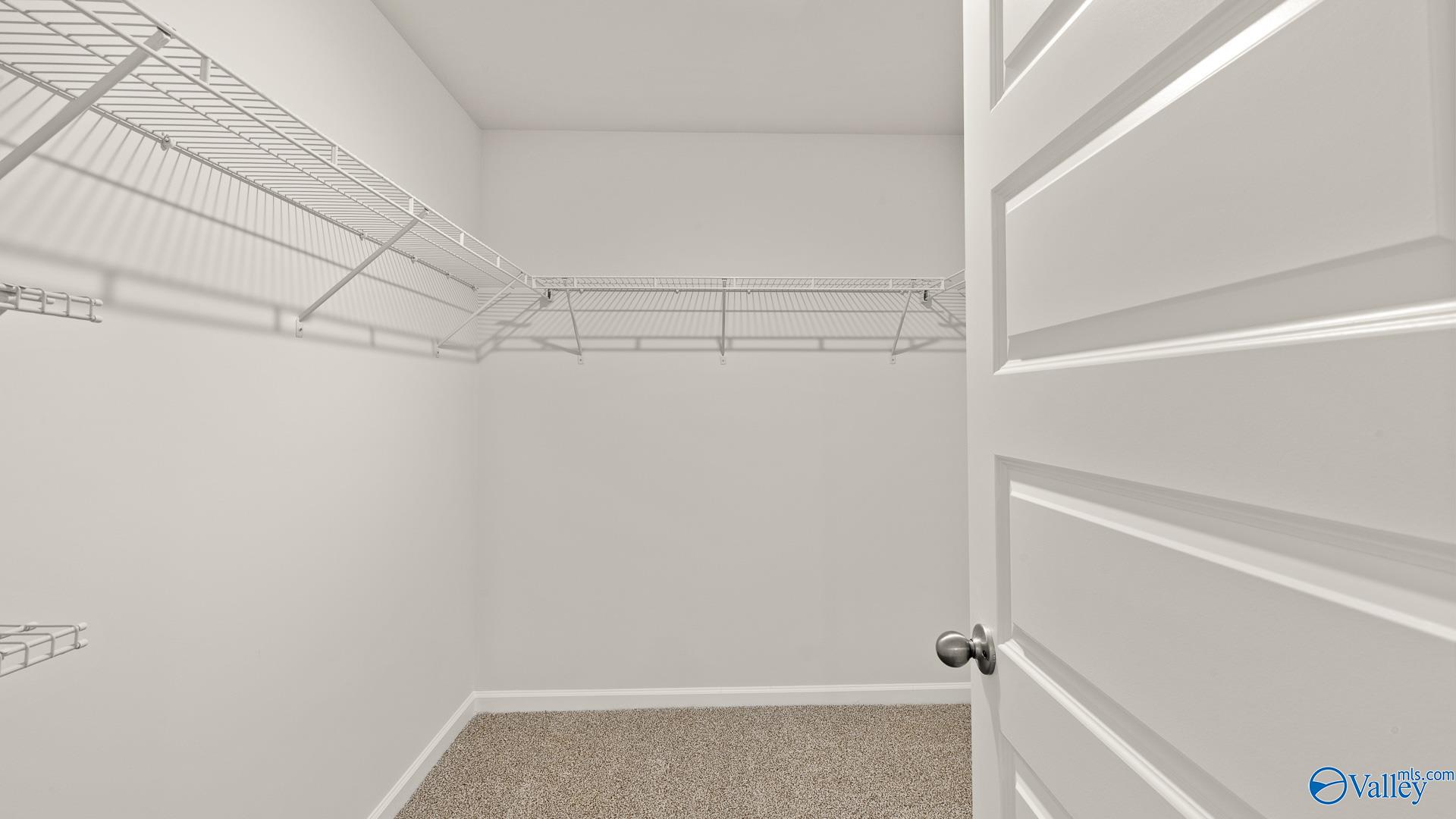 126 Ivy Park Circle, Albertville, Alabama image 29