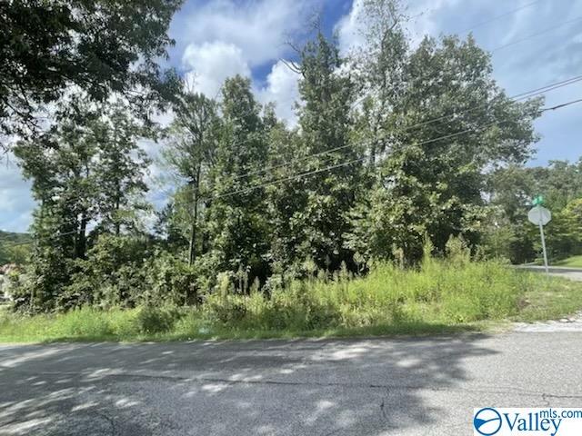 Lot 13-14 Anchor Drive, Southside, Alabama image 1