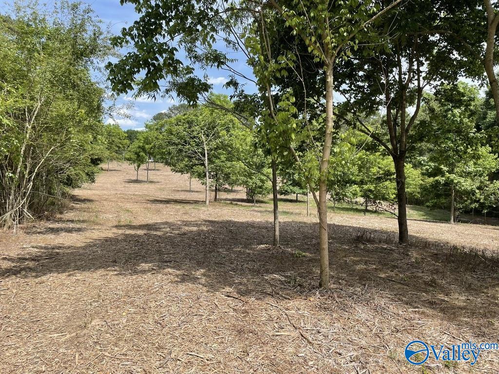 1021 County Road 1242