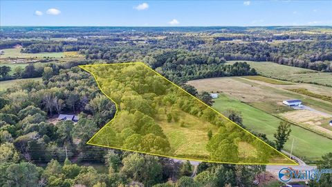 Vacant Land For Sale - 1021 County Road 1242<br/> Vinemont, AL 35179