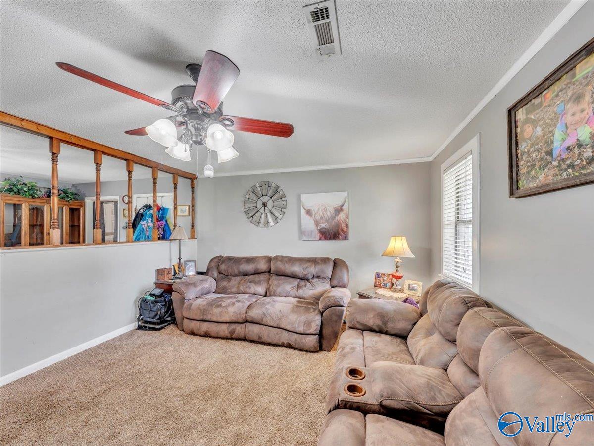 812 Mitwede Street, Hartselle, Alabama image 3