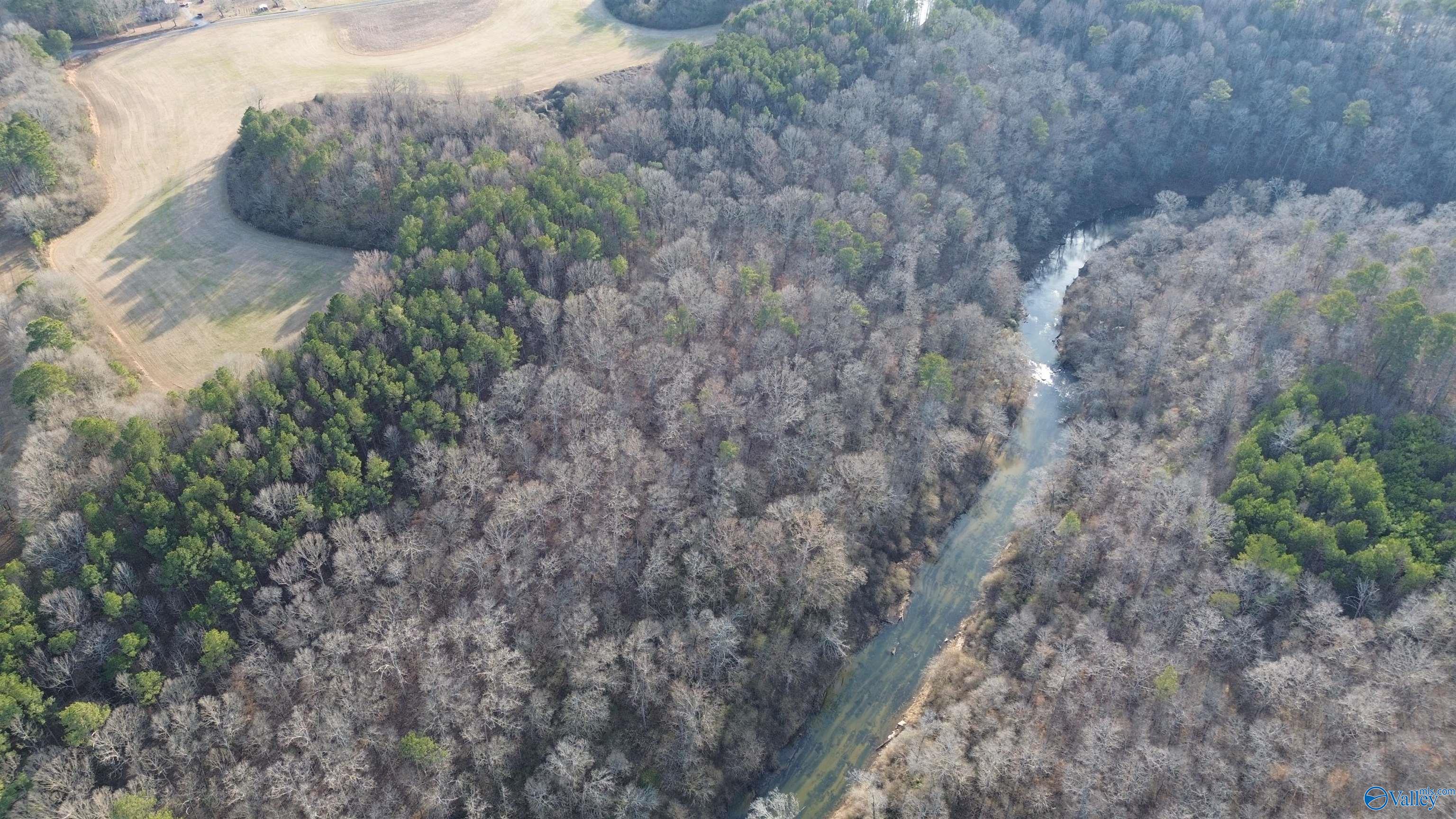 43 Acres County Road 547, Hanceville, Alabama image 4