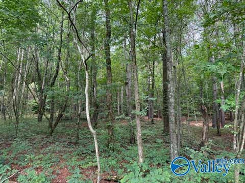 Vacant Land For Sale - 45 County Road 458<br/> Collinsville, AL 35961