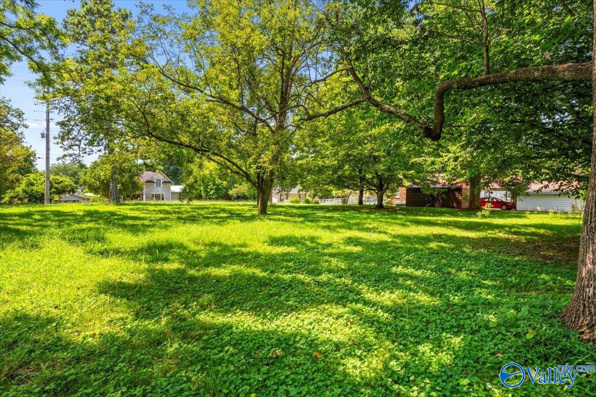 166 Powers Street, New Market, Alabama image 34