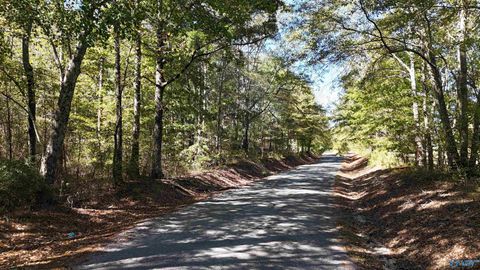 Homes For Sale - 020 County Road 70<br/> Sand Rock, AL 35984