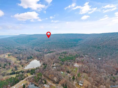 Homes For Sale - 41 ACRES Kroff Road<br/> Gurley, AL 35748