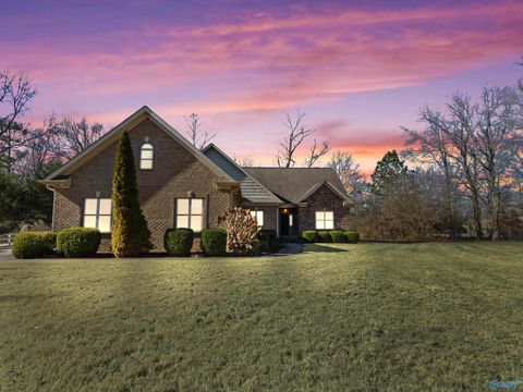 Photo of 27178 Bridle Tree Lane, Harvest, AL 35749 (MLS # 21909887)