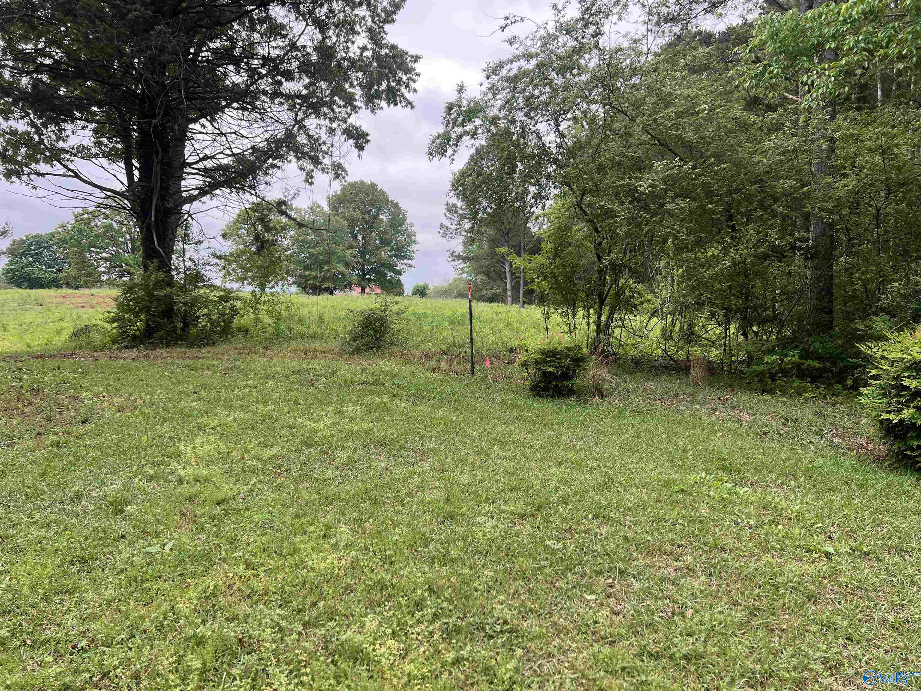 2105 County Road 102, Cedar Bluff, Alabama image 41