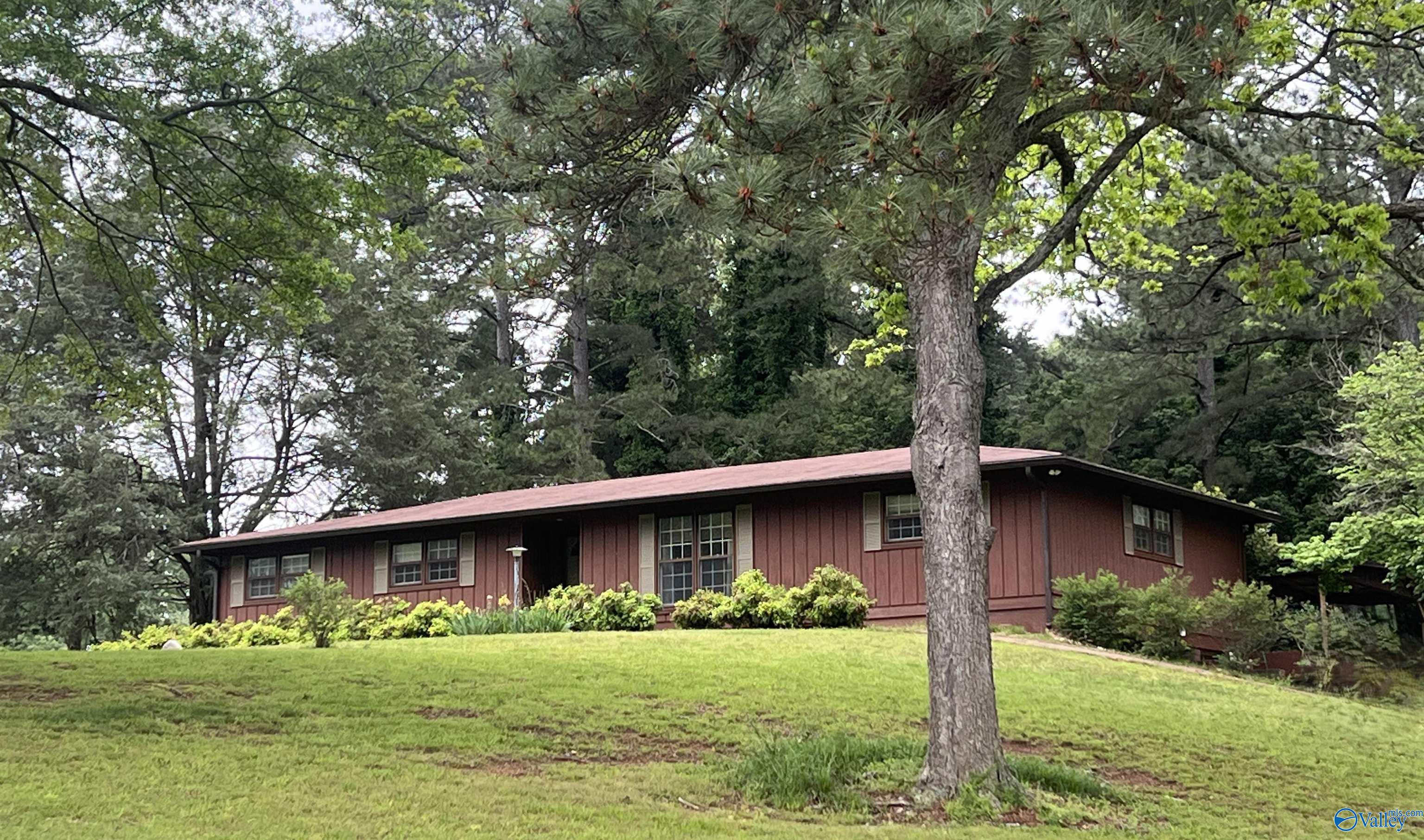 2105 County Road 102, Cedar Bluff, Alabama image 2