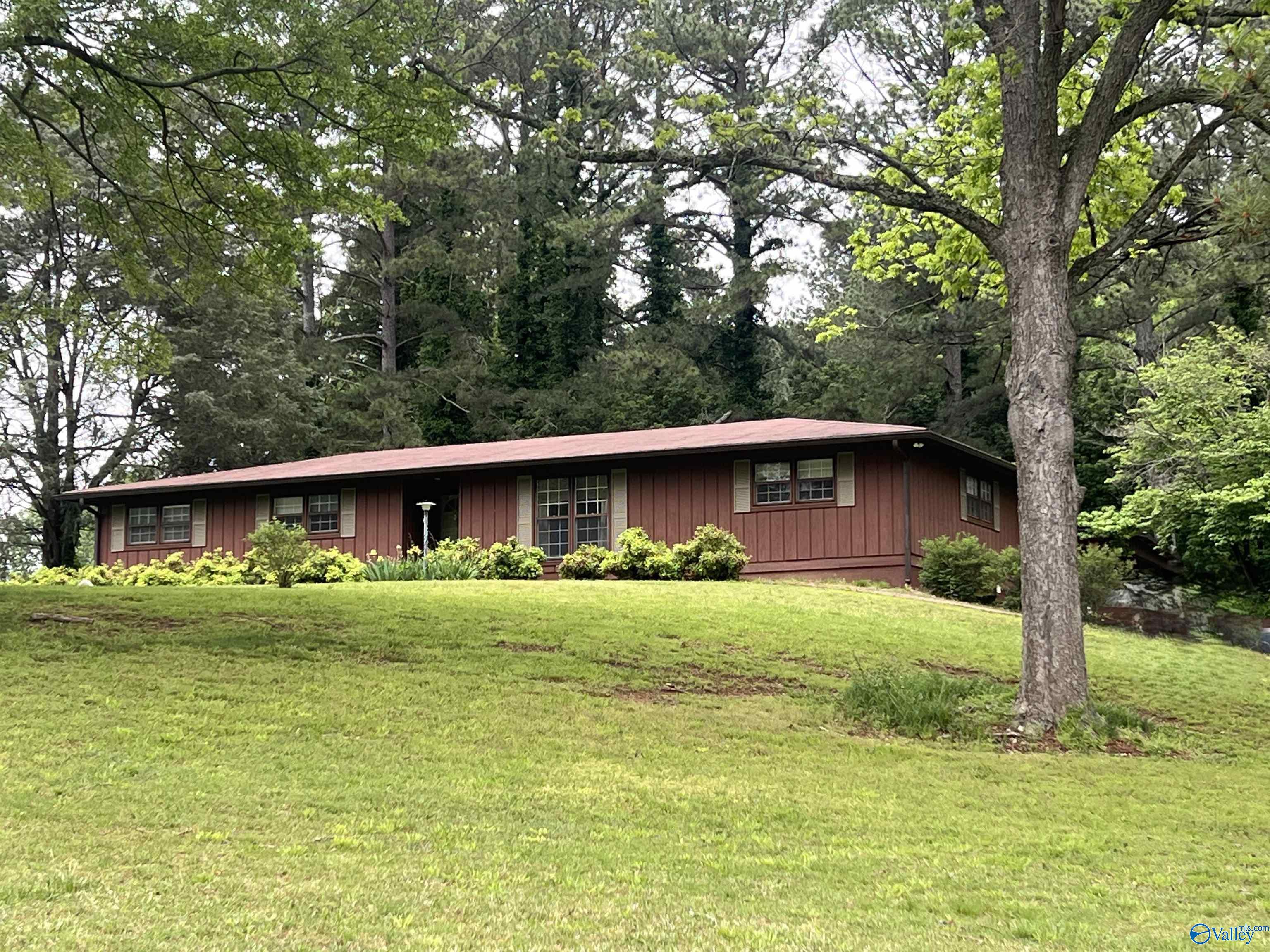 2105 County Road 102, Cedar Bluff, Alabama image 1
