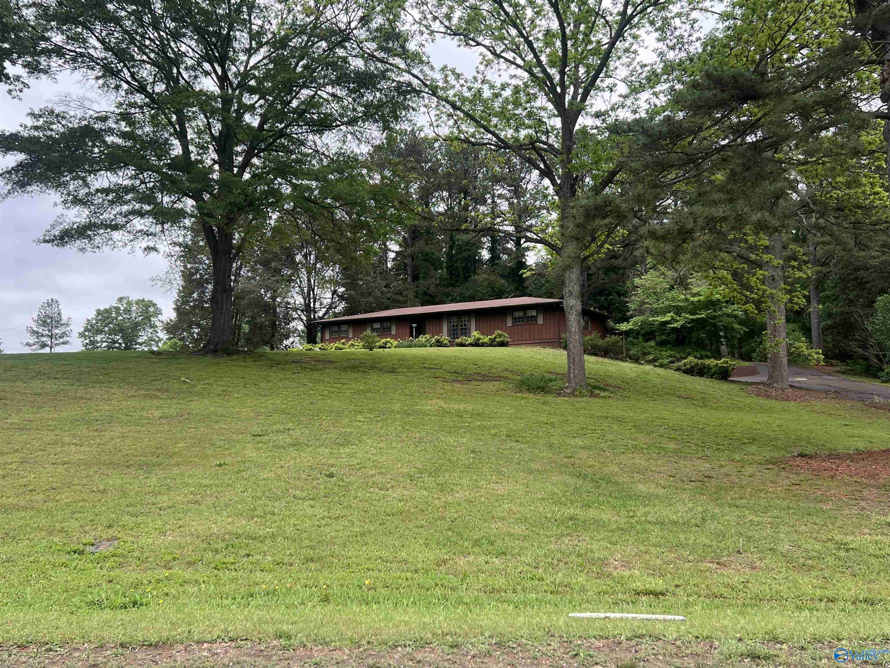 2105 County Road 102, Cedar Bluff, Alabama image 3