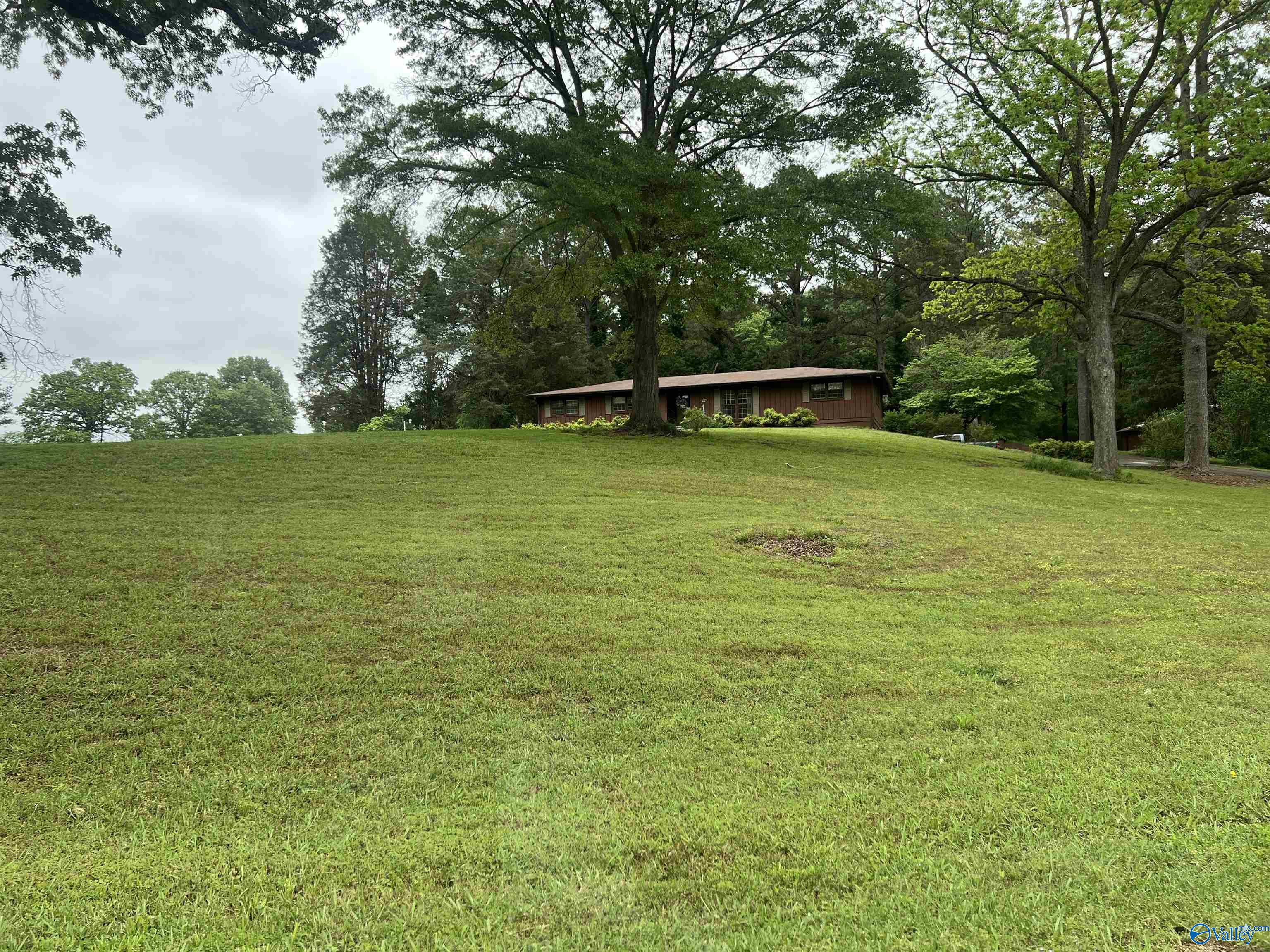 2105 County Road 102, Cedar Bluff, Alabama image 4