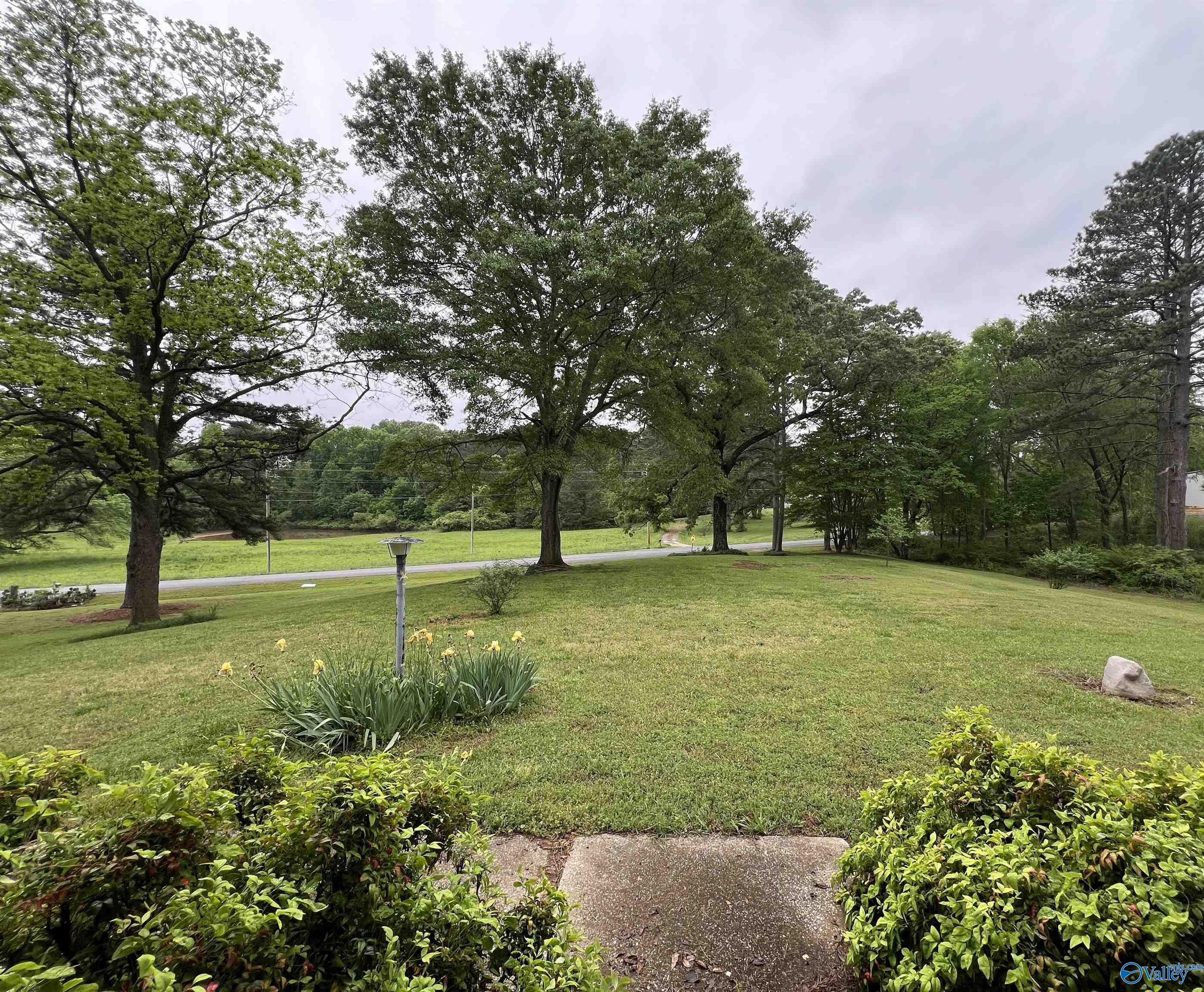 2105 County Road 102, Cedar Bluff, Alabama image 5
