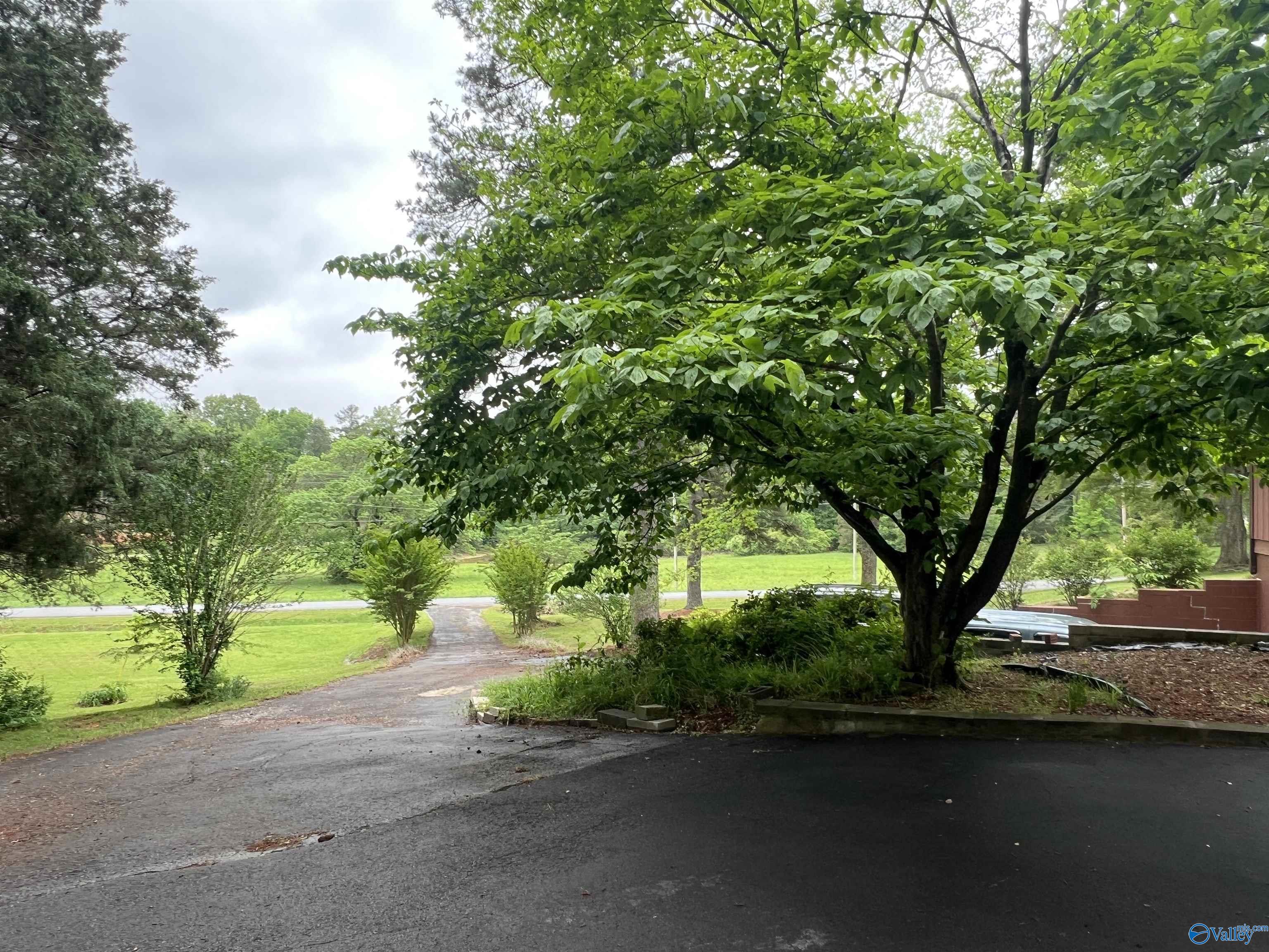 2105 County Road 102, Cedar Bluff, Alabama image 36