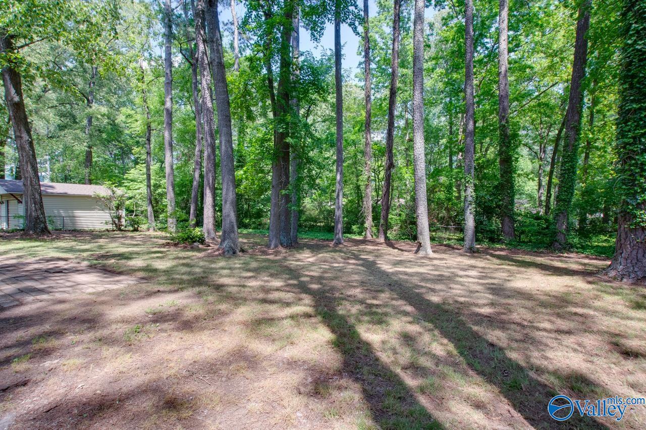 506 Delaney Road, Huntsville, Alabama image 9