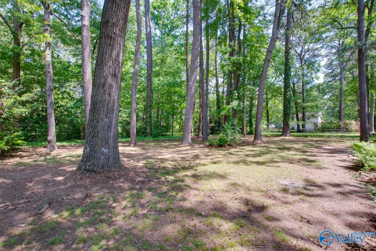 506 Delaney Road, Huntsville, Alabama image 11