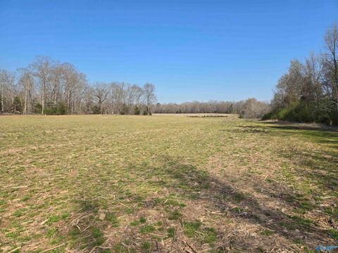 Vacant Land For Sale - 12.2 ACRES Fowler Drive<br/> Hazel Green, AL 35750