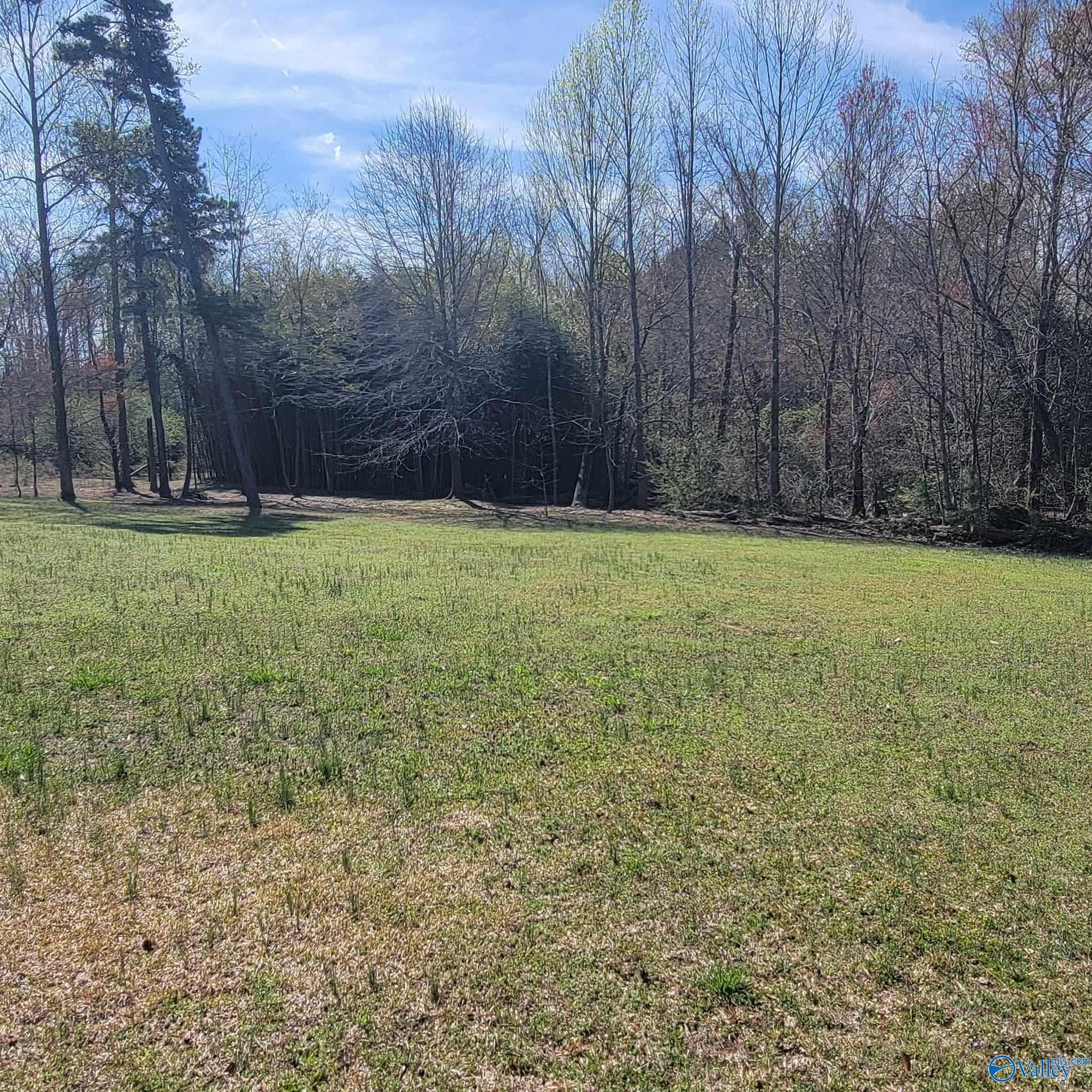 180 Williams Lane, Guntersville, Alabama image 10