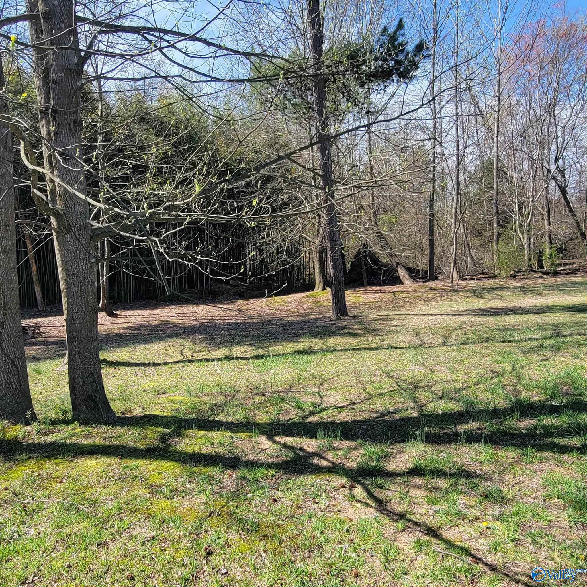 180 Williams Lane, Guntersville, Alabama image 13