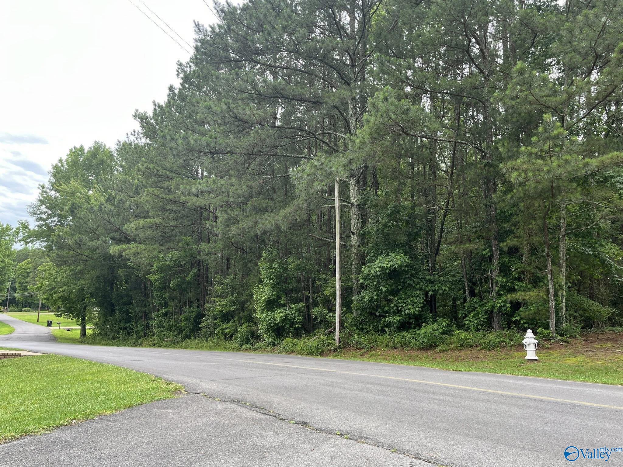 0.83 Oakhill Road, Fort Payne, Alabama image 1