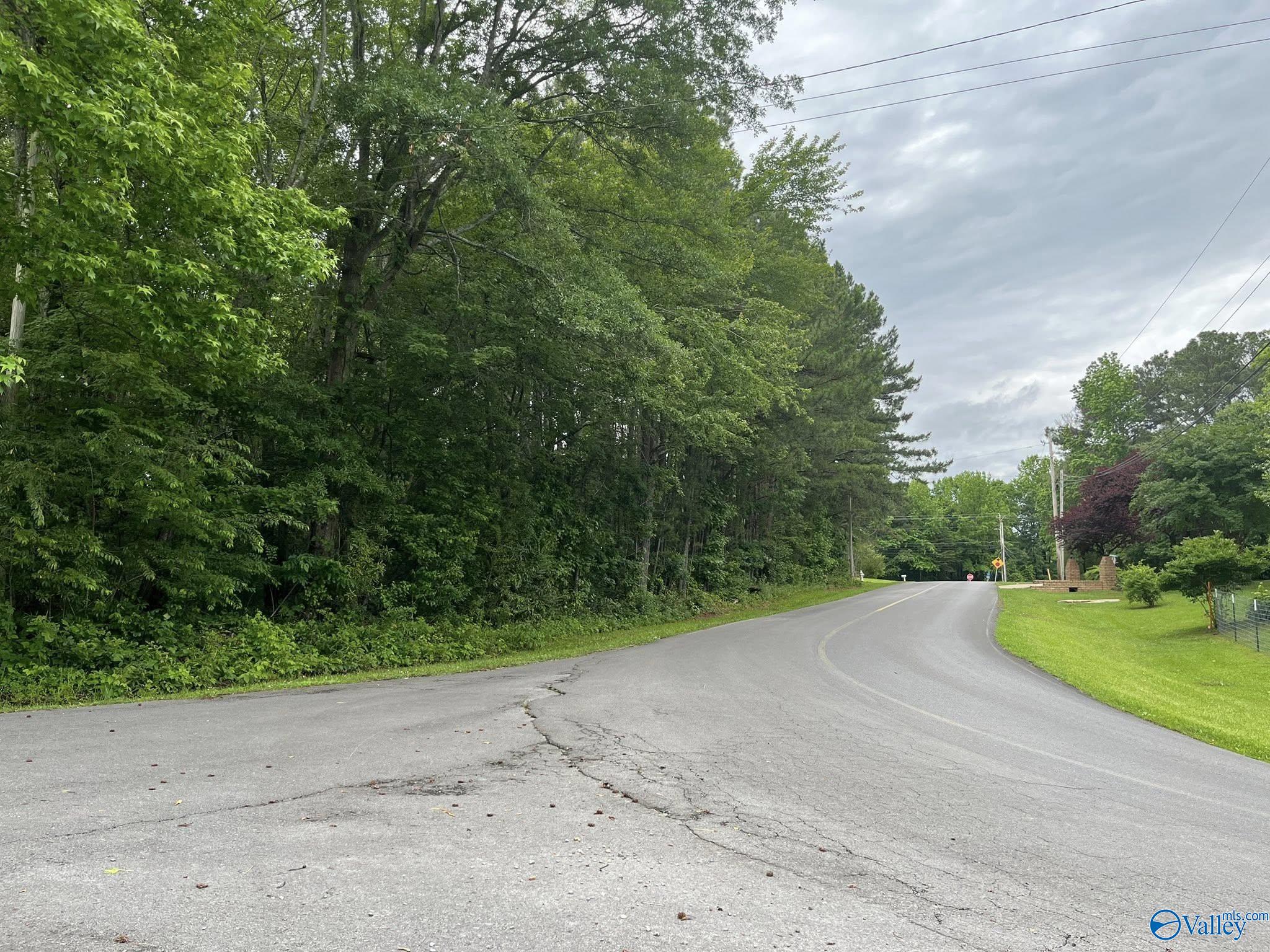 0.83 Oakhill Road, Fort Payne, Alabama image 2