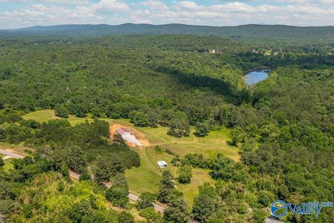 Vacant Land For Sale - 3580 Fairview Road<br/> Gadsden, AL 35904