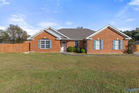 Photo of 245 Chestnut Oak Circle, Owens Cross Roads, AL 35763 (MLS # 21902328) Photo of 245 Chestnut Oak Circle, Owens Cross Roads, AL 35763 (MLS # 21902328)