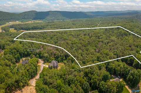 Vacant Land For Sale - 23 ACRES Riverview Lane<br/> Gadsden, AL 35905