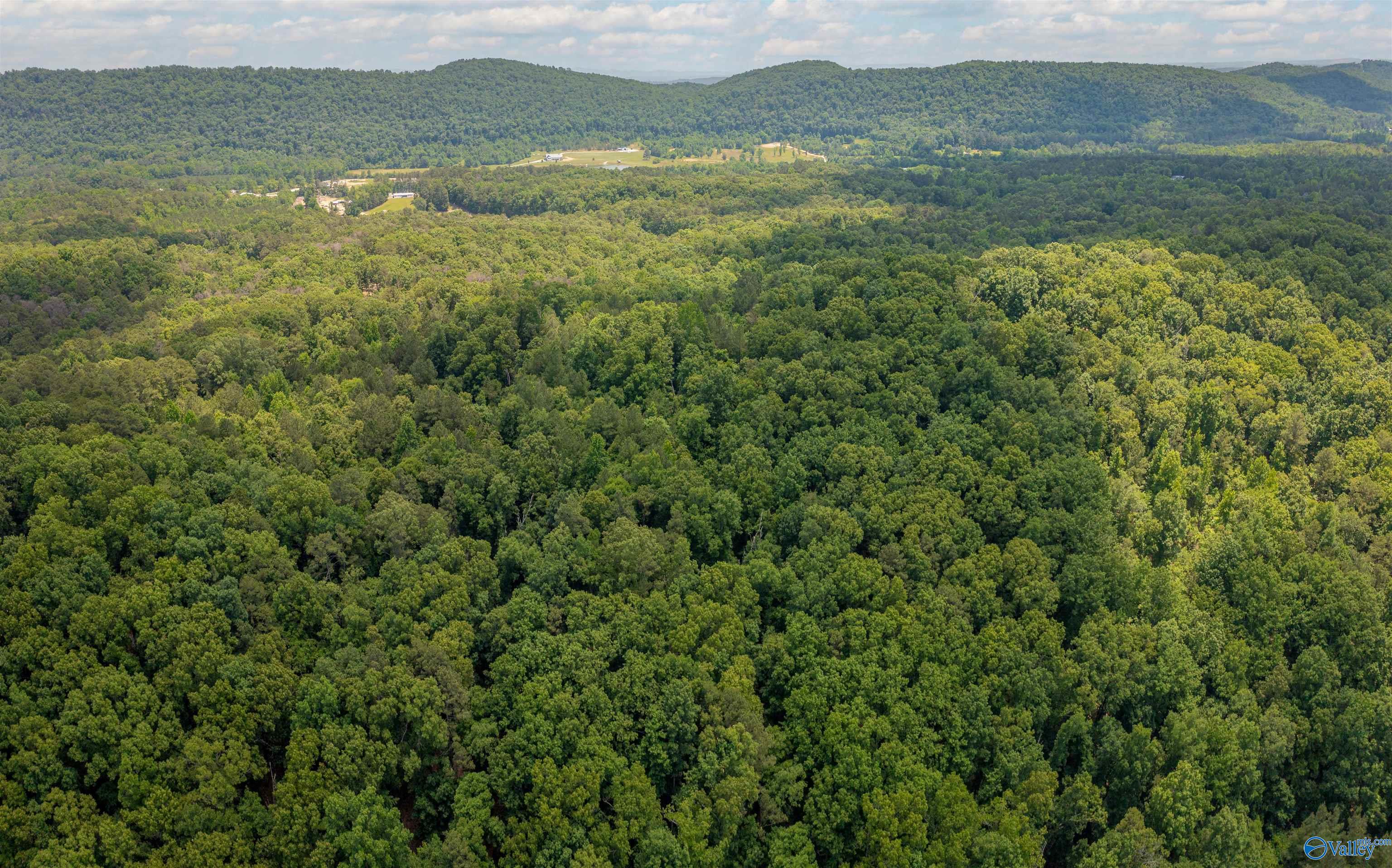 23 acres Riverview Lane