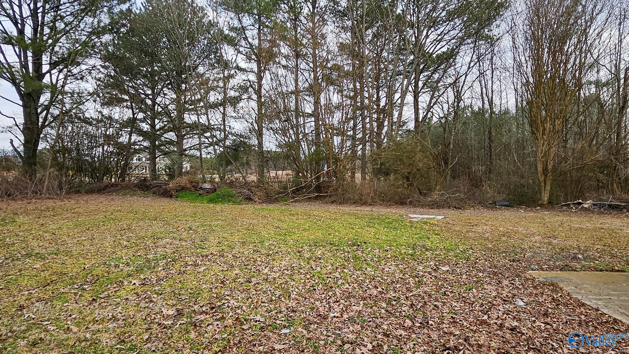 19036 Easter Ferry Road, Athens, Alabama image 36