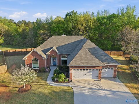 216 North Mossy Creek Circle NW Madison AL 35757