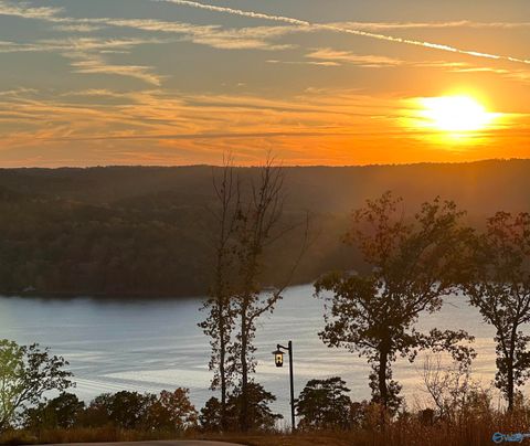 Vacant Land For Sale - 46 Treetop Drive<br/> Guntersville, AL 35976