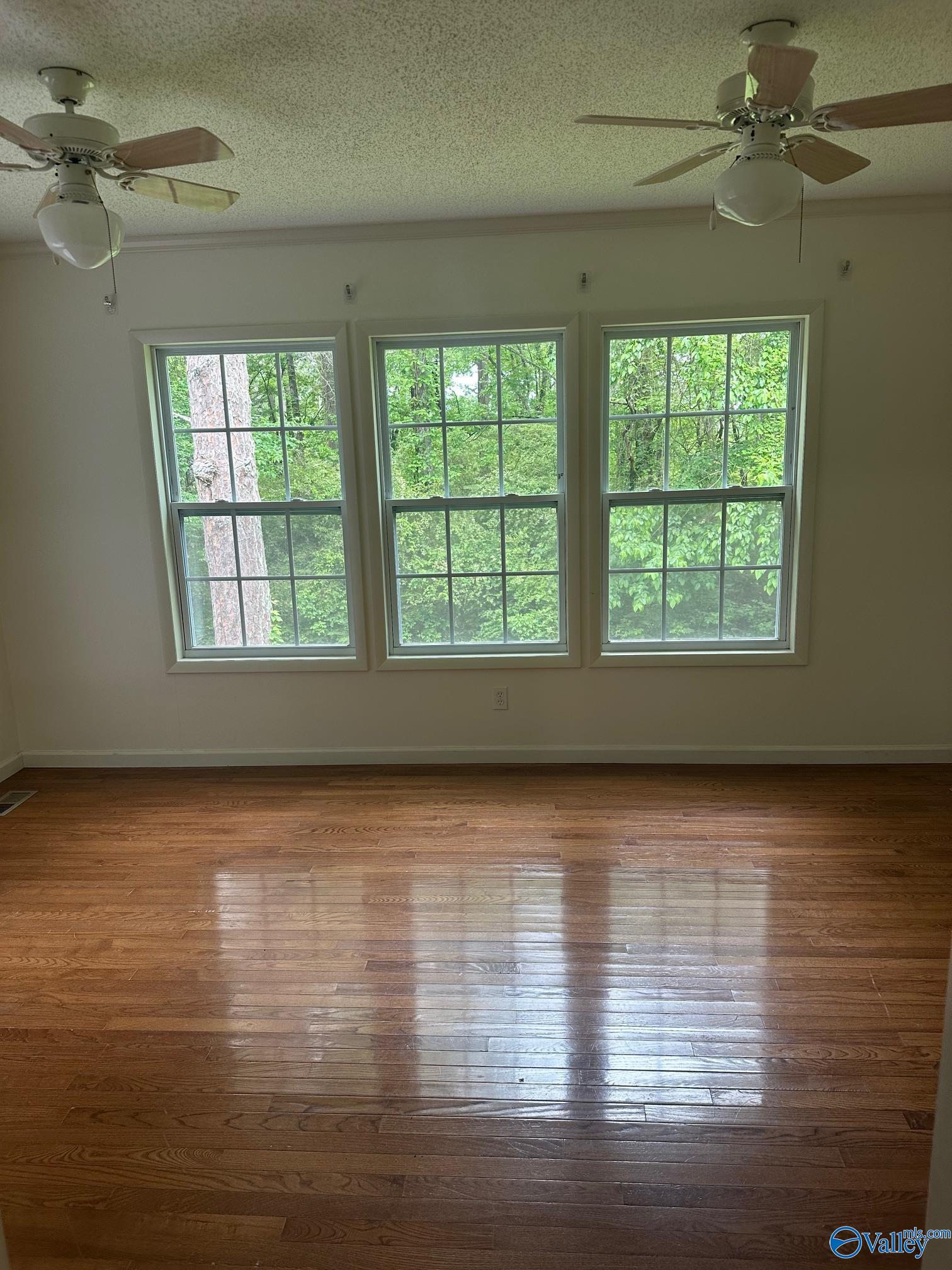 483 County Road 42, Hollywood, Alabama image 6