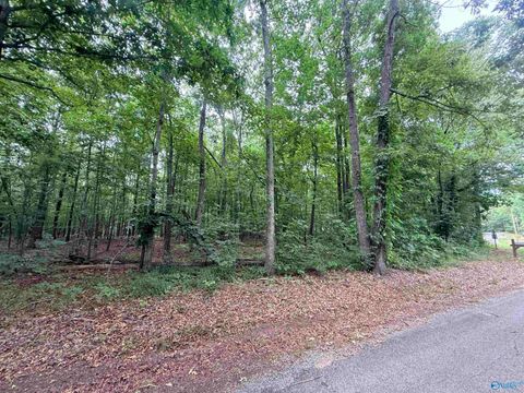 Vacant Land For Sale - 001 County Road 667<br/> Cedar Bluff, AL 35959