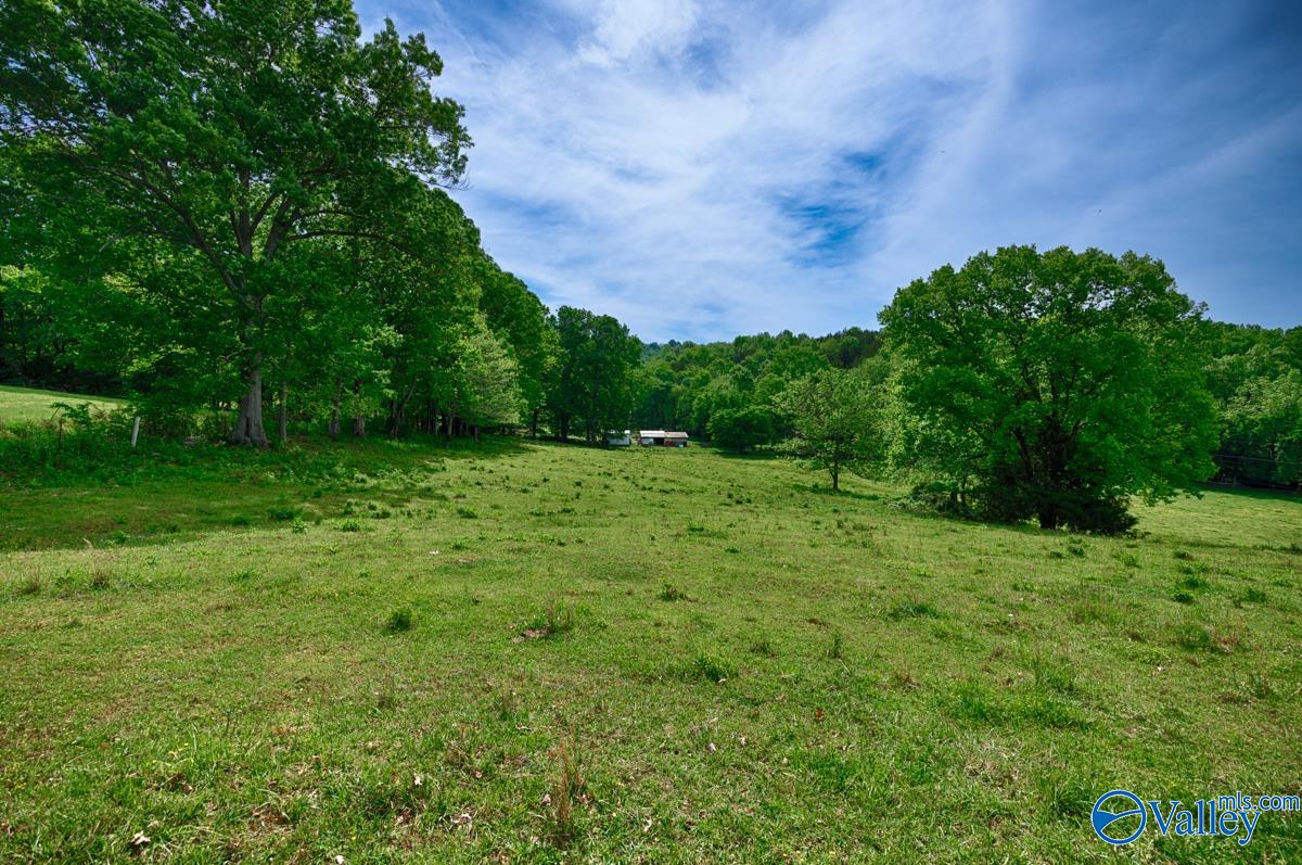 7 Cemetery Road, Fayetteville, Tennessee image 7