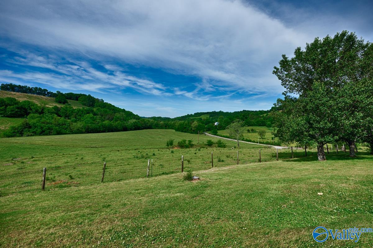 7 Cemetery Road, Fayetteville, Tennessee image 4