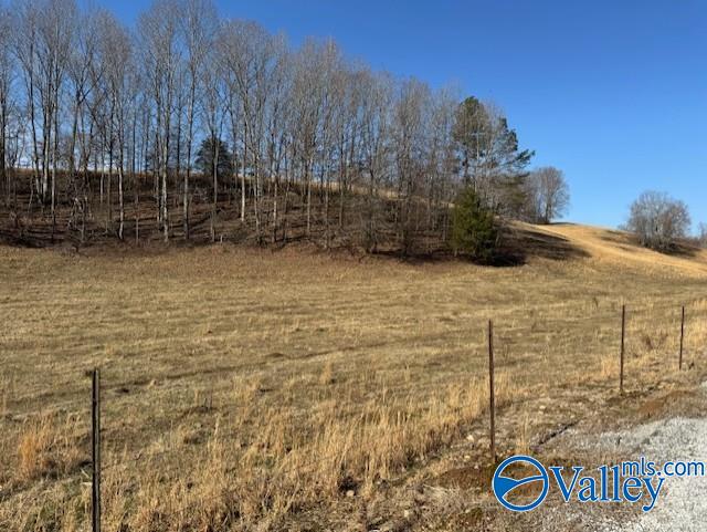 77 + Or - Kimbrell Road, Athens, Alabama image 4