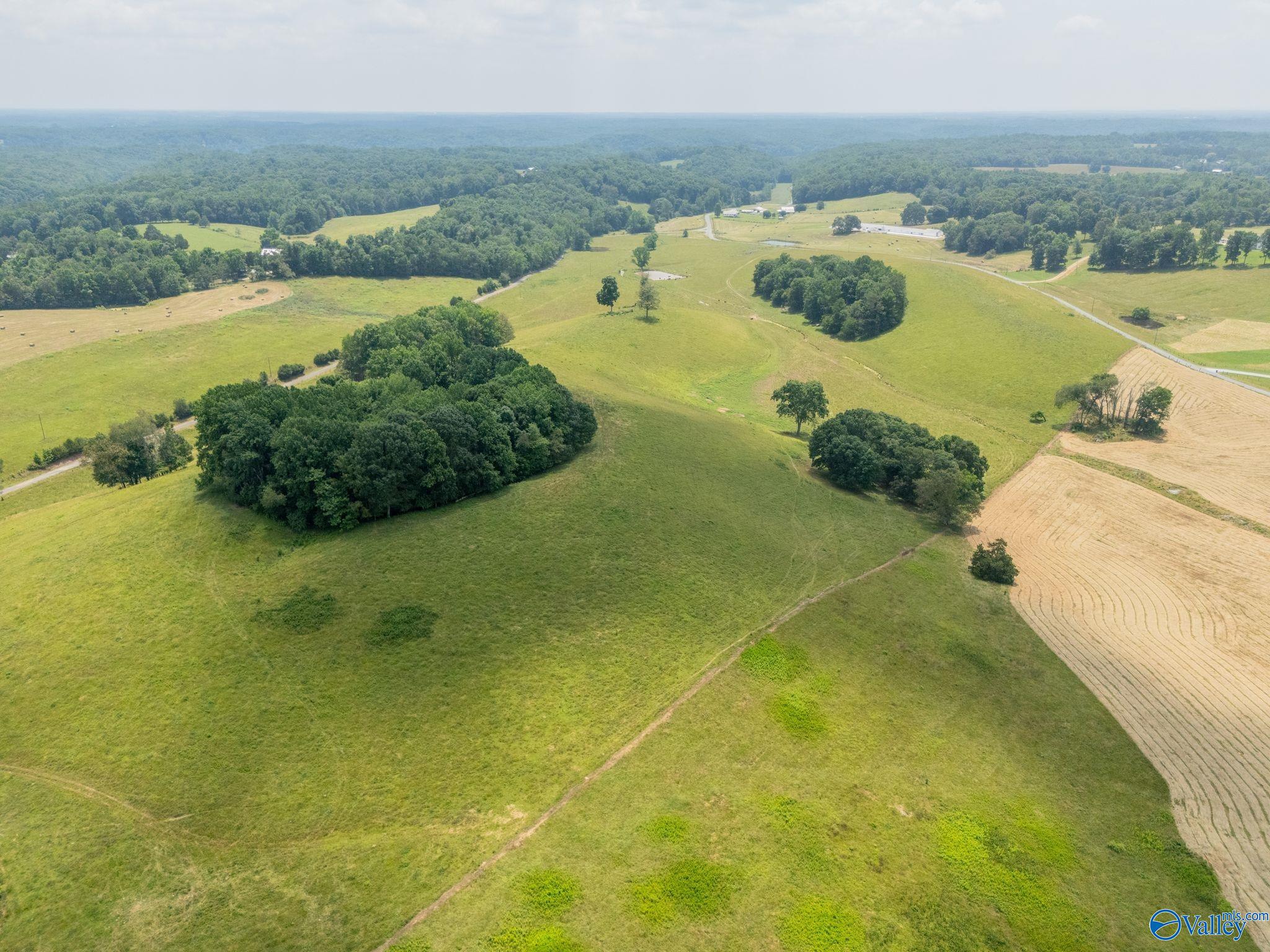 77 + Or - Kimbrell Road, Athens, Alabama image 11