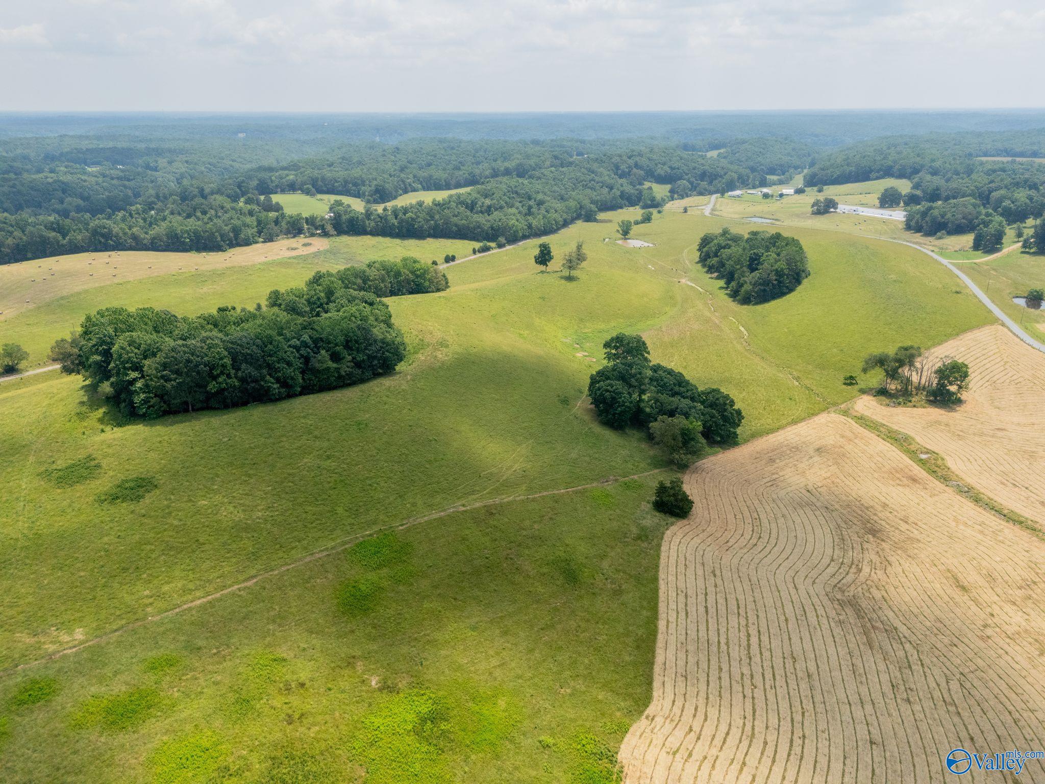 77 + Or - Kimbrell Road, Athens, Alabama image 10