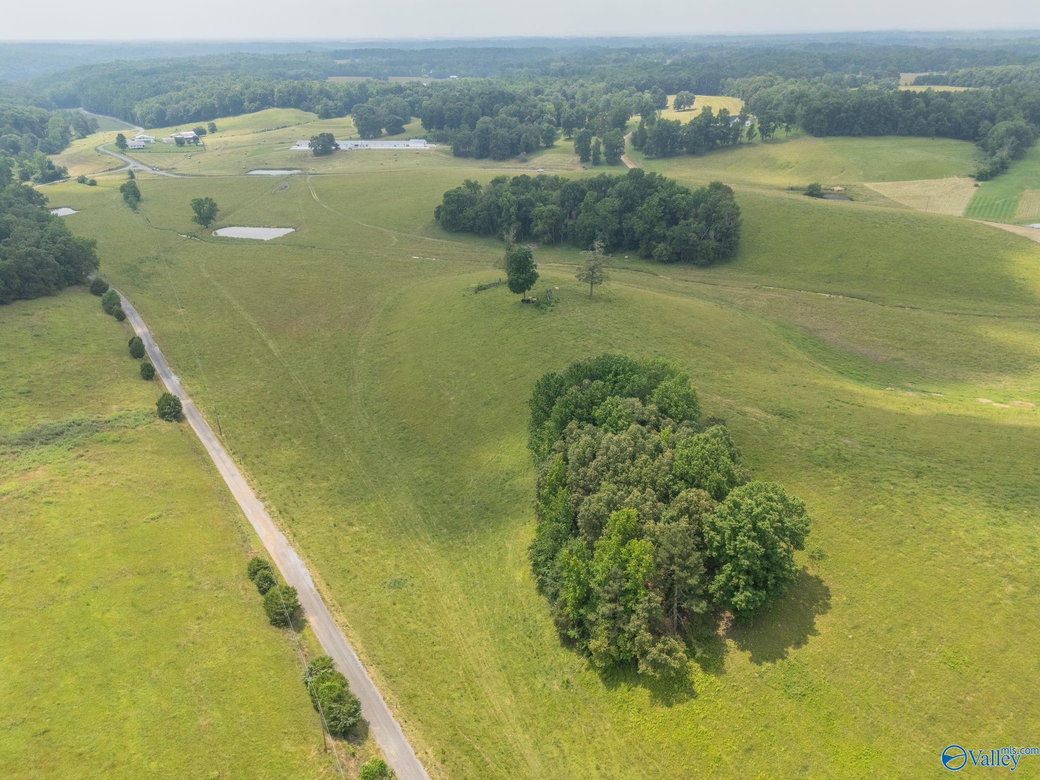 77 + Or - Kimbrell Road, Athens, Alabama image 6