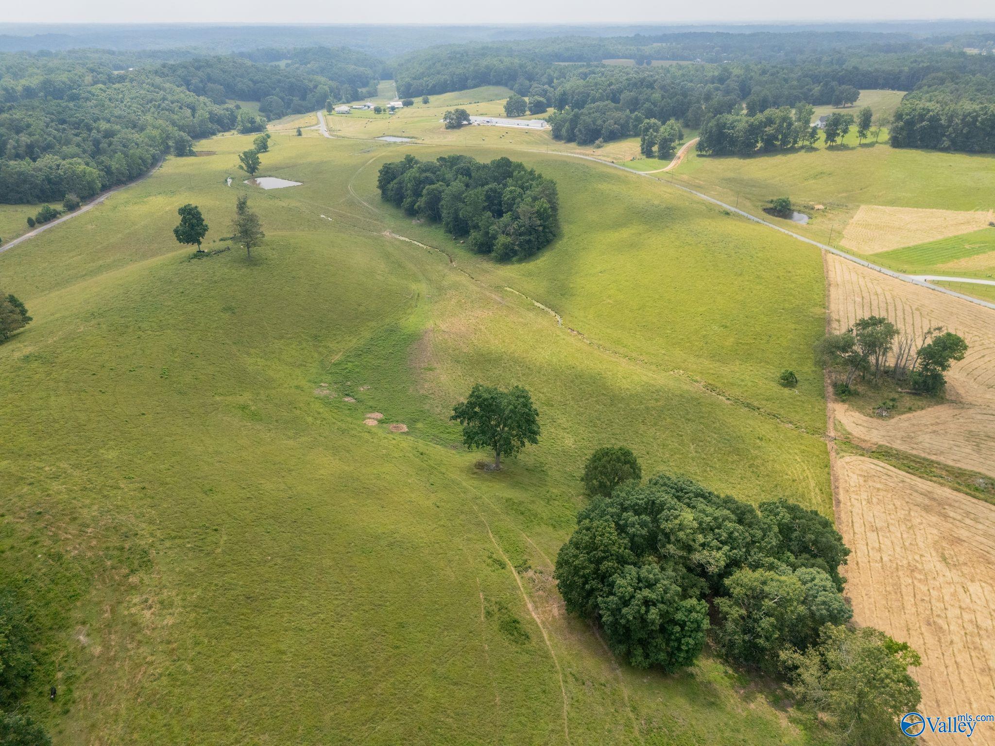 77 + Or - Kimbrell Road, Athens, Alabama image 7