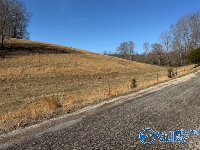 77 + Or - Kimbrell Road, Athens, Alabama image 16